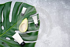 Moisturizing cream with avocado oil on a tropical leaf with copy space. Cream with mock up.