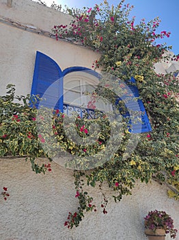 MOJACAR TYPICAL WINDOW WITH PLANTS