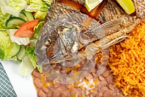 mojarra frita plate