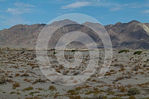 Mojave Desert, California including sand, scrub brush and mountains.