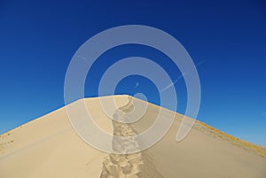 Mojave Desert Dune, California