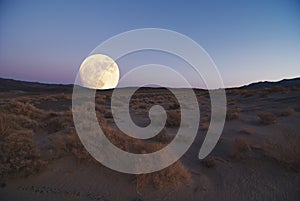 Mojave Desert Moon Rise