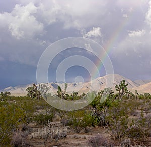 Mojave Desert Rainbow