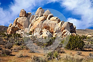 Mojave Desert Rock Formations