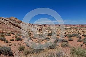 Mojave Desert Rock Formations at Valley of Fire State Park, Nevada, USA