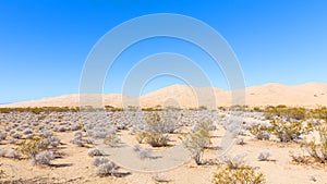 Mojave Desert with sand dunes on horizon.