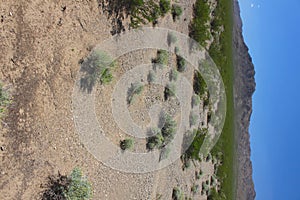 Mojave Desert - southern California