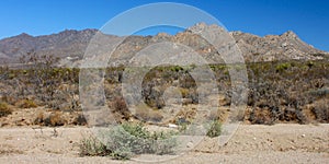 Mojave Desert Southern California