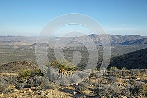 Mojave Desert vista from Ryan Mountain