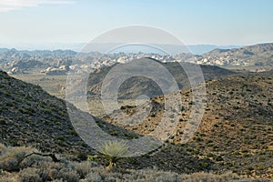 Mojave Desert vista from Ryan Mountain