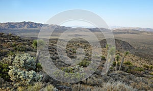 Mojave Desert vista from Ryan Mountain