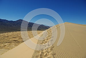 Mojave Dunes with Providence Mountains, California