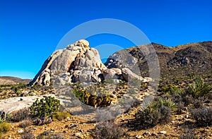 Mojave Monzonite Rock Pile