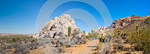 Mojave Monzonite Rock Vista