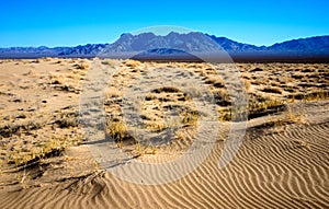 Mojave National Preserve