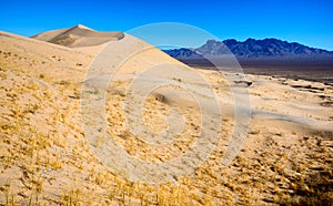 Mojave National Preserve