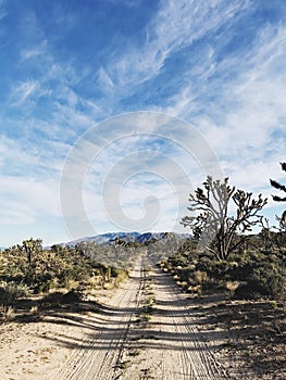 Mojave Natural Preserve