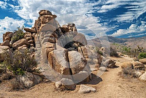 Mojave Rock Pile