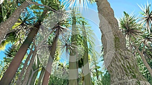 Mojave yucca plant in Joshua Tree National Park in California in the USA 3d rendering