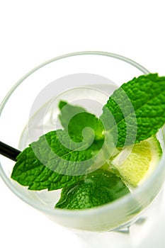 Mojito Cocktail