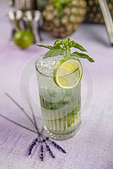 Mojito cocktail alcohol bar long drink traditional Cuba fresh tropical beverage top view copy space two highball glass, with rum,