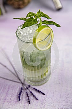 Mojito cocktail alcohol bar long drink traditional Cuba fresh tropical beverage top view copy space two highball glass, with rum,