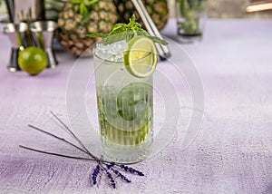 Mojito cocktail alcohol bar long drink traditional Cuba fresh tropical beverage top view copy space two highball glass, with rum,