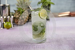 Mojito cocktail alcohol bar long drink traditional Cuba fresh tropical beverage top view copy space two highball glass, with rum,