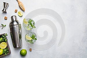 Mojito Cocktail Ingredients and tools on light table. View from above