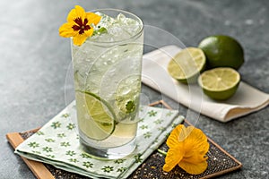 Mojito Glass with Lime Slice