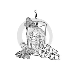 Mojito. Hand drawn illustration of cocktails. Vector mojito sketch.