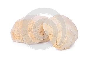 Mokey head mushroom , lion mane or yamabushitake isolated photo