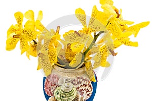 Mokkara yellow Orchid flower in vase isolated on white