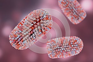 Mokola virus, an RNA virus related to rabies virus