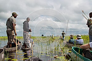 Mokoro Canoe Trip in the Okavango Delta near Maun, Botswana