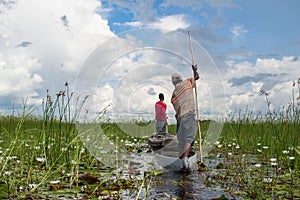 Mokoro Canoe Trip in the Okavango Delta near Maun, Botswana