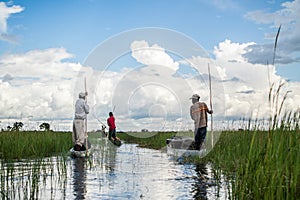 Mokoro Canoe Trip in the Okavango Delta near Maun, Botswana