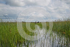 Mokoro Canoe Trip in the Okavango Delta near Maun, Botswana