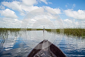 Mokoro Canoe Trip in the Okavango Delta near Maun, Botswana