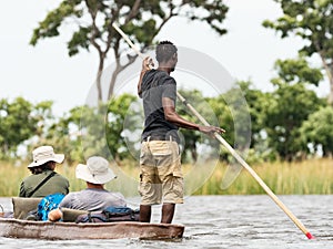 Local man working on Mokoro to deliver tourists and campers across the rivers of the Delta Okawango, Botswana