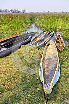 Mokoro, Okavango Delta, Botswana