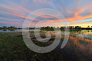 Mokoro in the Okavango delta at sunset, Botswana photo