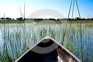 Mokoro Ride Through the Delta