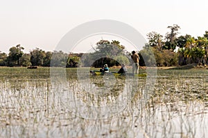Mokoro ride in the okawango delta in Botswana in africa
