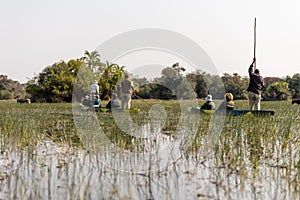 Mokoro ride in the okawango delta in Botswana in africa