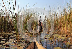 Mokoro Safari