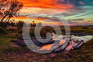 Mokoros in the sunset, Okawango Delta, Botsuana photo