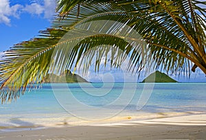 The mokulua islands off lanikai beach, oahu photo