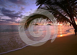 The mokulua islands off lanikai beach, oahu