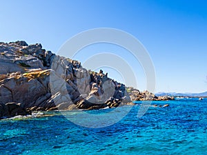 Molara Island, Sardinia